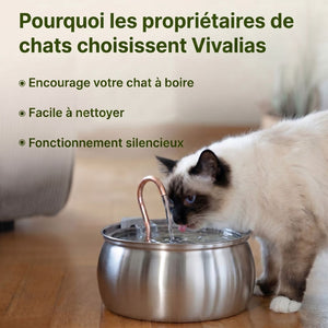 Fontaine à eau pour chat en inox 4L | AQUARA