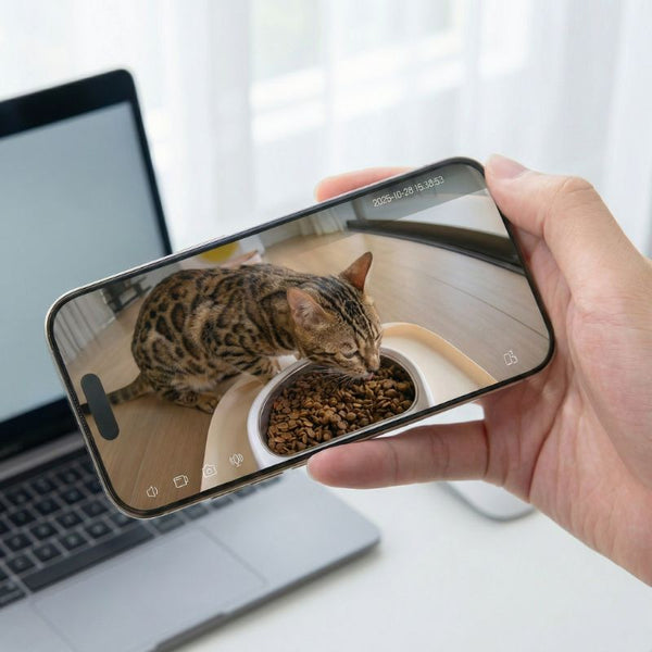 Distributeur croquettes chat avec caméra WiFi | BENTO