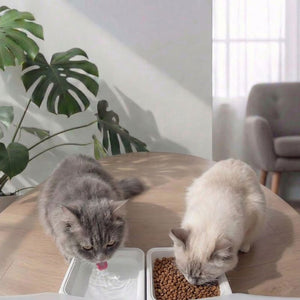 Distributeur Croquettes Chat avec Caméra 2K et Réservoir d’Eau | NOVA