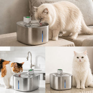 Fontaine à eau chat rechargeable sans fil 4L | SENSIA